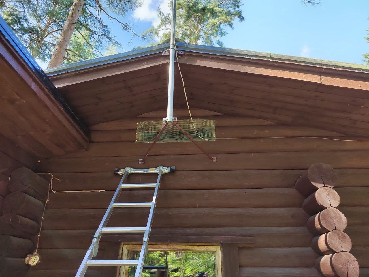Lepakoita mökin ullakolla? Näin toimit oikein ja lain mukaan
