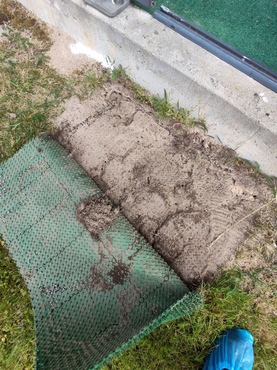 Terassin oven edestä ylös käännetty kuramatto, jonka alta paljastuu muurahaispesä.